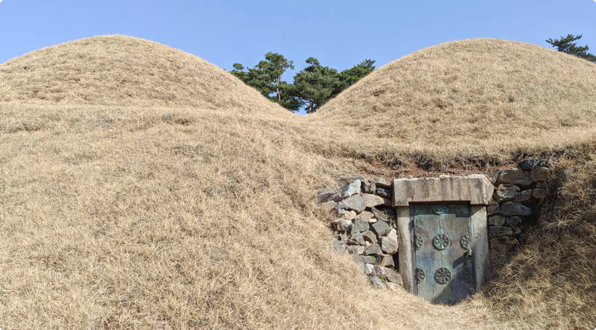 Wat zijn de populairste voertuigkeuzes in Gongju?